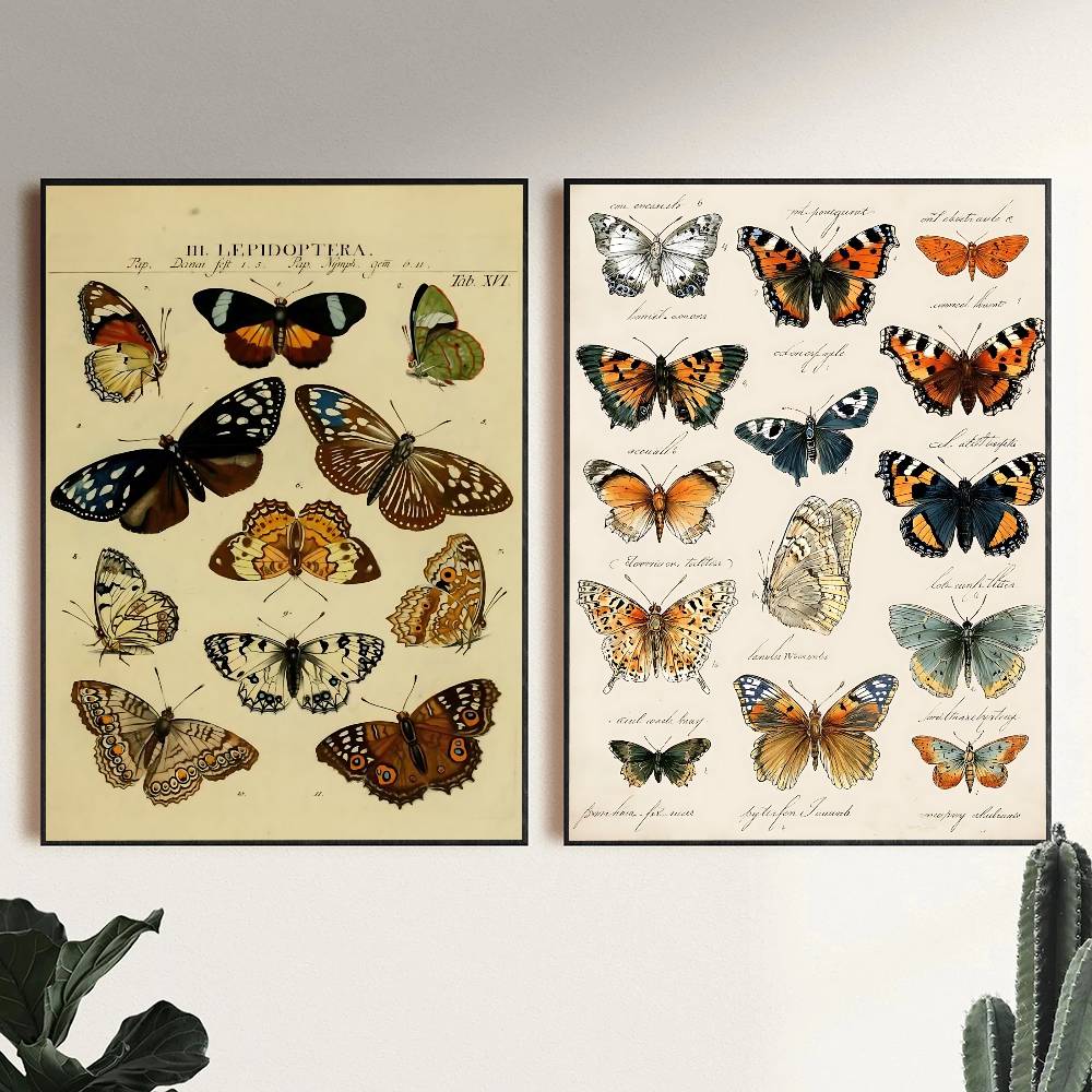 Vintage Butterfly And Insects  - đánh giá và giá Vintage Collectible Posters