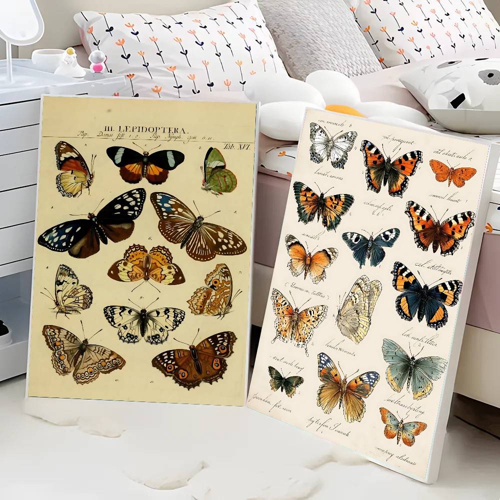 Vintage Butterfly And Insects  - đánh giá và giá Vintage Collectible Posters