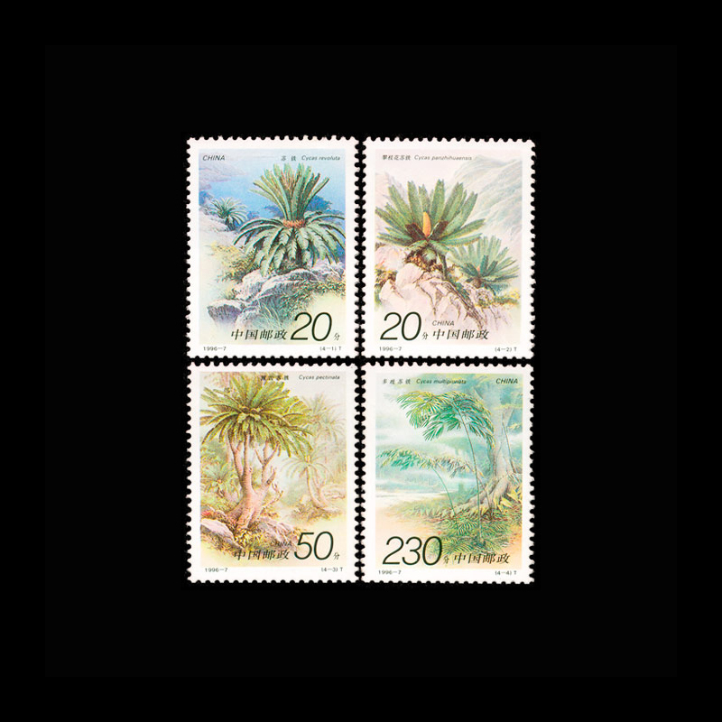Vintage 1996 Chinese Cycas Pla - đánh giá và giá Vintage Collectible Stamps